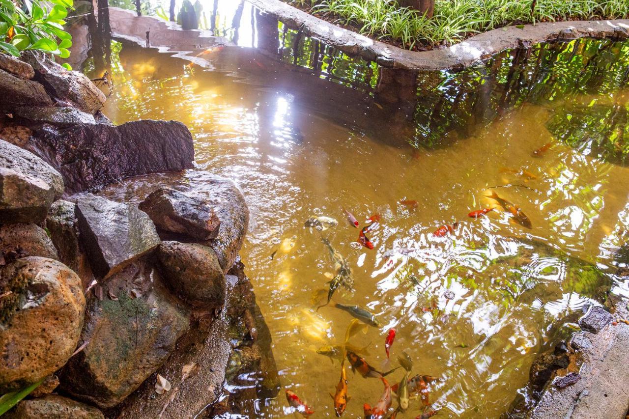 Hotel Alemao Beach De Ilhabela Eksteriør billede